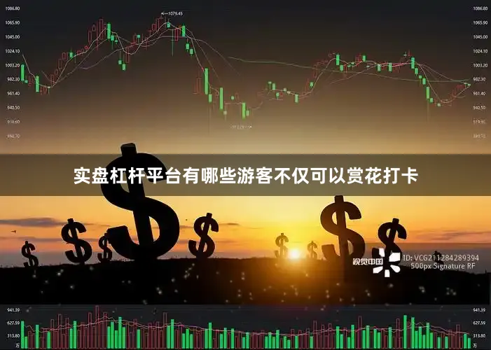 实盘杠杆平台有哪些游客不仅可以赏花打卡