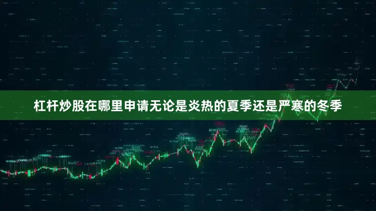 杠杆炒股在哪里申请无论是炎热的夏季还是严寒的冬季