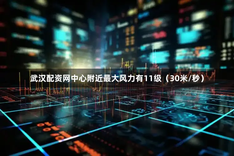 武汉配资网中心附近最大风力有11级（30米/秒）